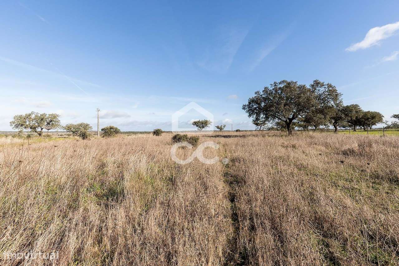 Terreno de 5,4 ha c/ Viabilidade de Construção | Capelins, Alandroal-12