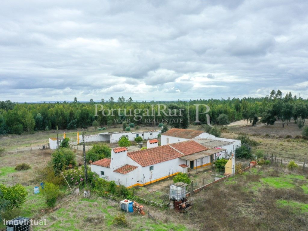 Quinta com 5165 m2, a 30 minutos das praias da Costa Vicentina - Grande imagem: 1/17