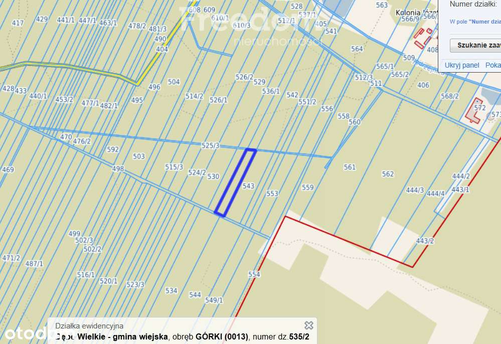 Lasy w miejscowości Górki - powiat Miński - Pełny obrazek: 5/5