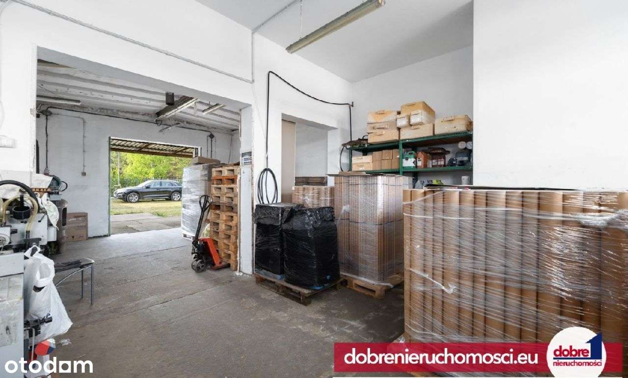 Okazja ! pod działalność przy S5/ Dk10 hala Brzoza - Pełny obrazek: 5/9