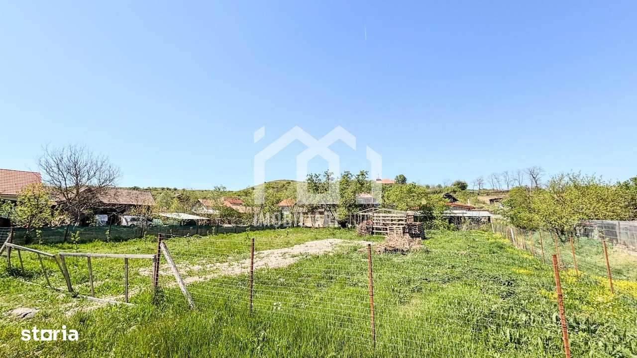 Teren Intravilan 800mp - Visea-1
