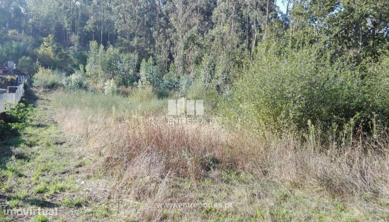 Venda de Terreno para construção, Santoinho, Viana do Castelo - Grande imagem: 5/27