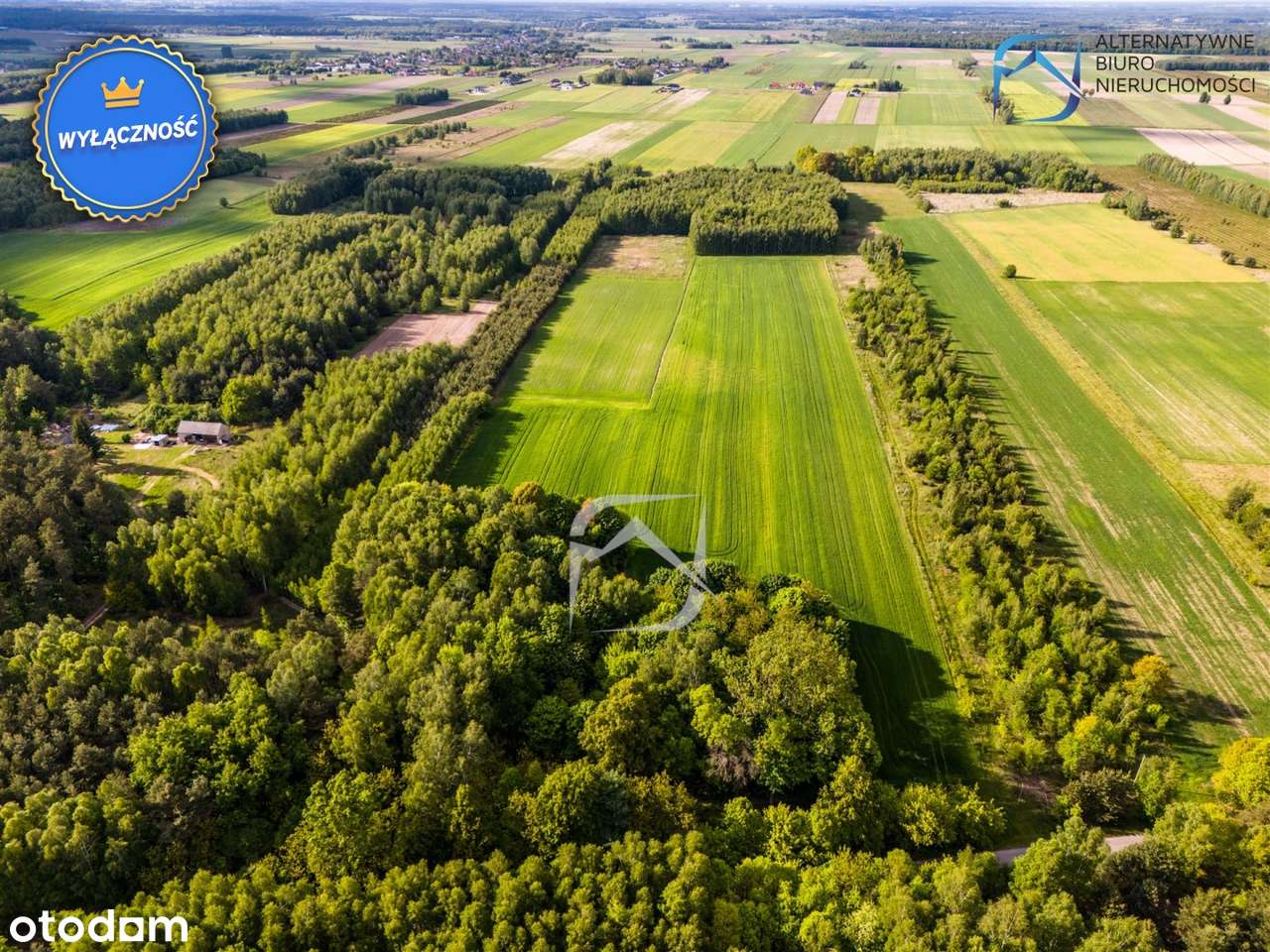 Działki budowlane w leśnej okolicy- Tarło - Pełny obrazek: 2/14