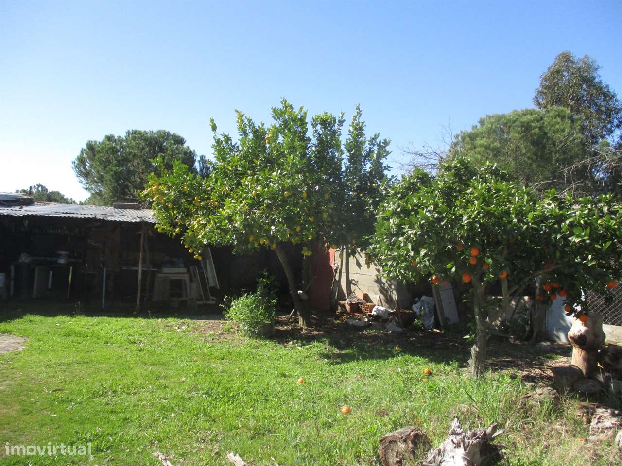 Quinta T0 Venda em Castelo Branco,Castelo Branco-9