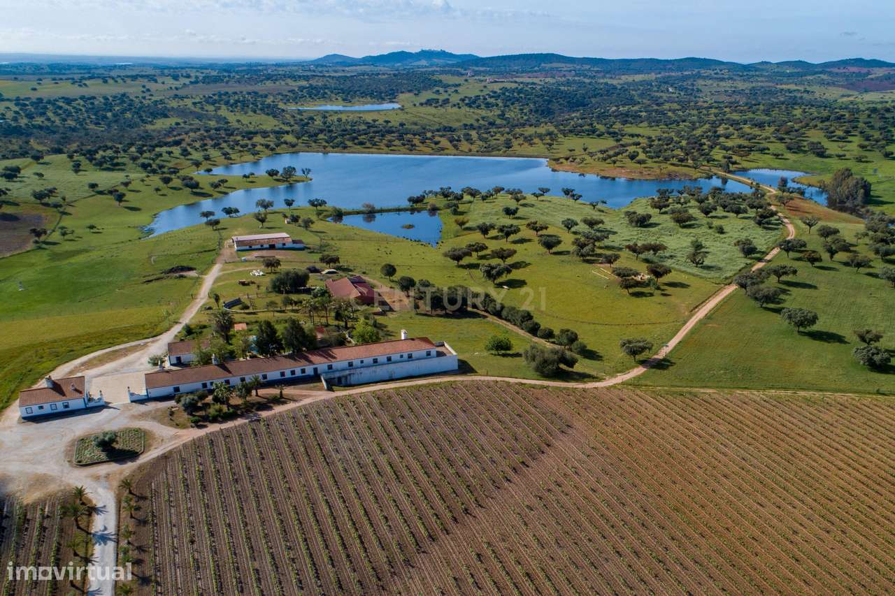Herdade de 190 Hectares (16 Hectares de Vinha) a 10 km do lago de Alqu - Grande imagem: 5/40