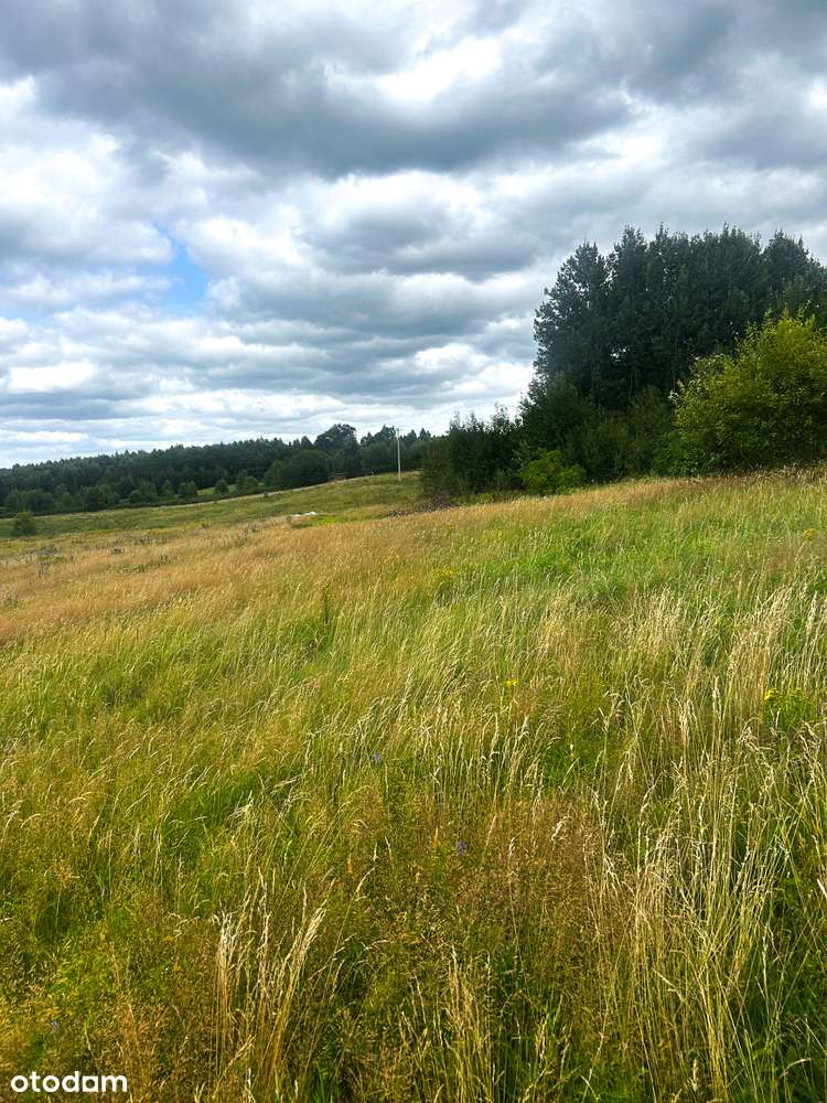 Atrakcyjne działki budowlane gm.Przywidz - Pełny obrazek: 5/9