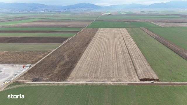 Vanzare Teren Prejmer-Zona Parc Industrial-8