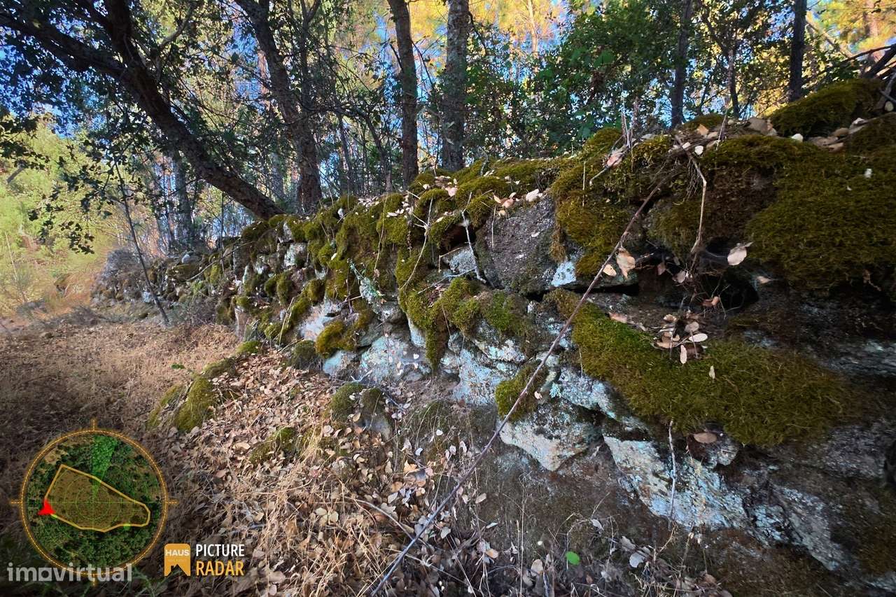 Terreno com Vinha e Poço em Granito | Salgueiro do Campo-16