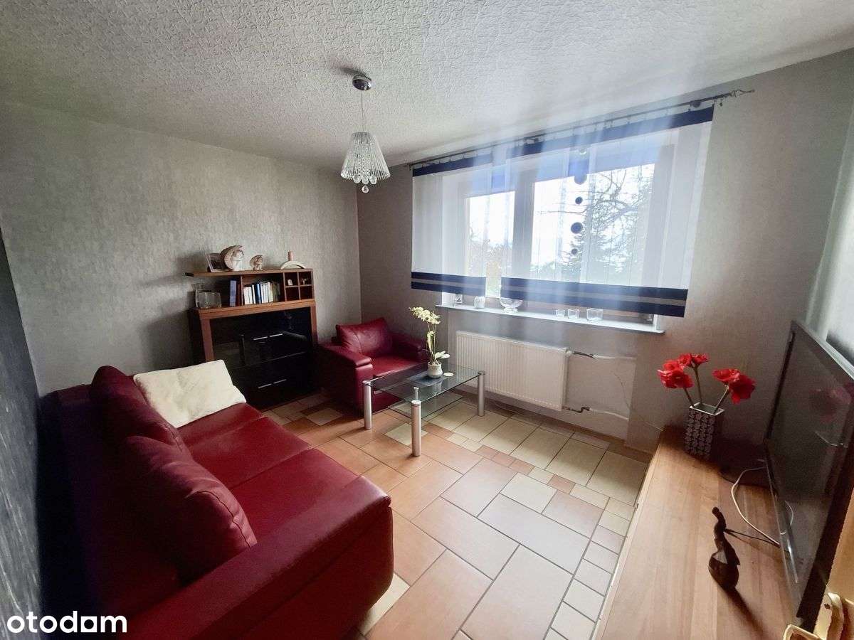 Dom z potencjałem + zabudowa pod działalność! - Pełny obrazek: 5/20