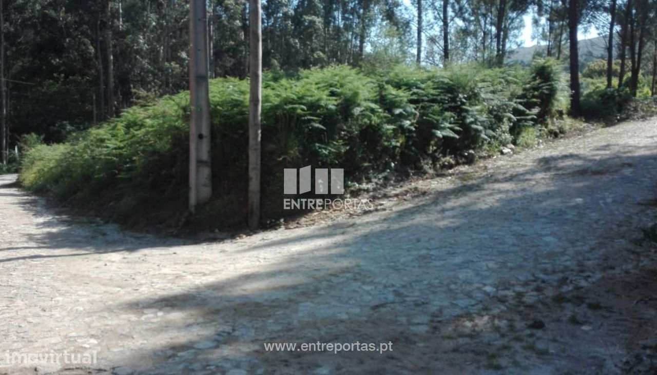 Terreno de construção para venda, Venade, Caminha