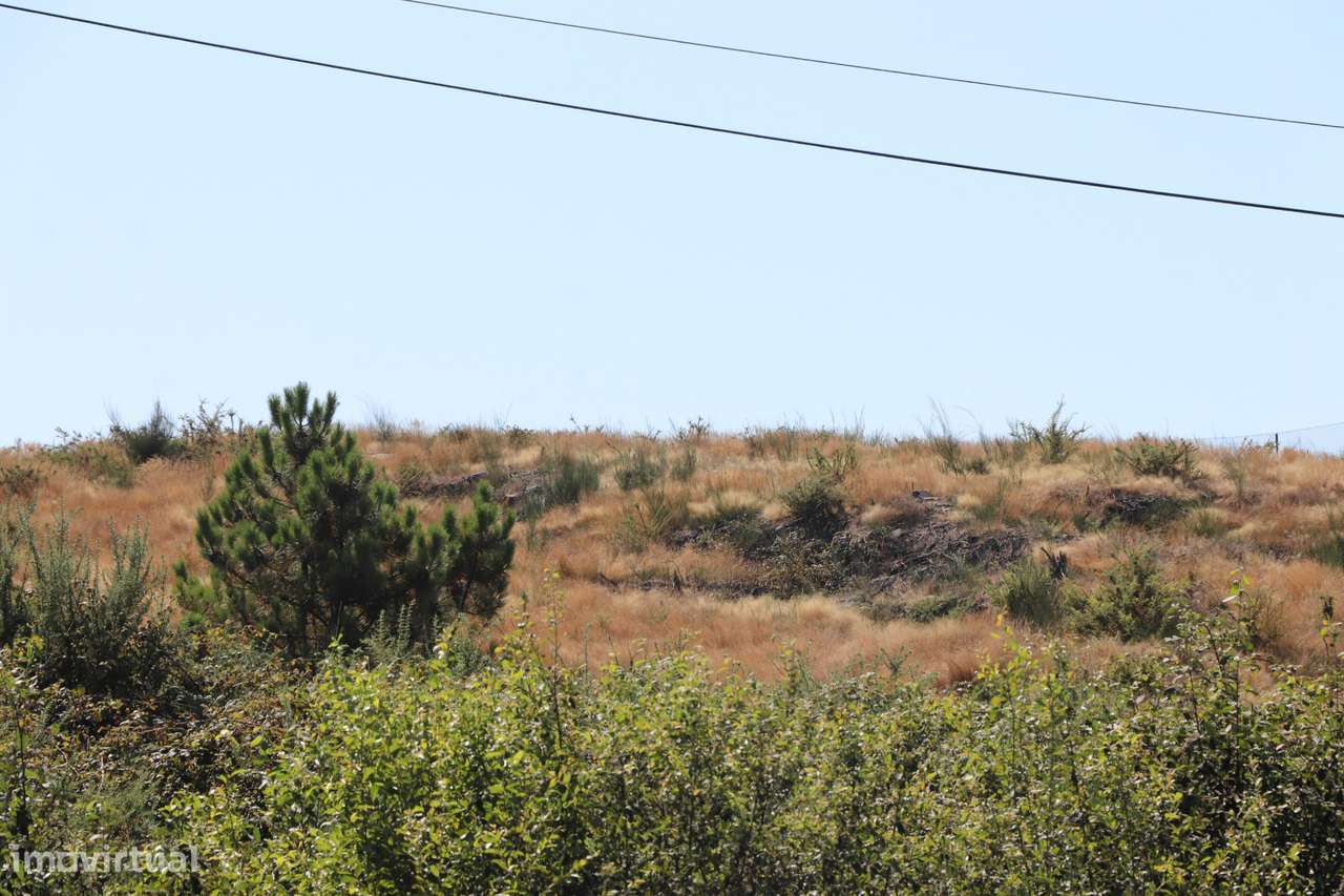 Lote de Terreno  Venda em Lustosa e Barrosas (Santo Estêvão),Lousada - Grande imagem: 3/9