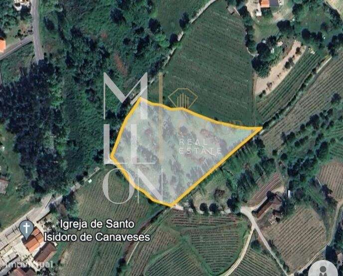 Campos agrícolas com 8250m2 bem localizados e com bons acessos em Sant - Grande imagem: 4/5