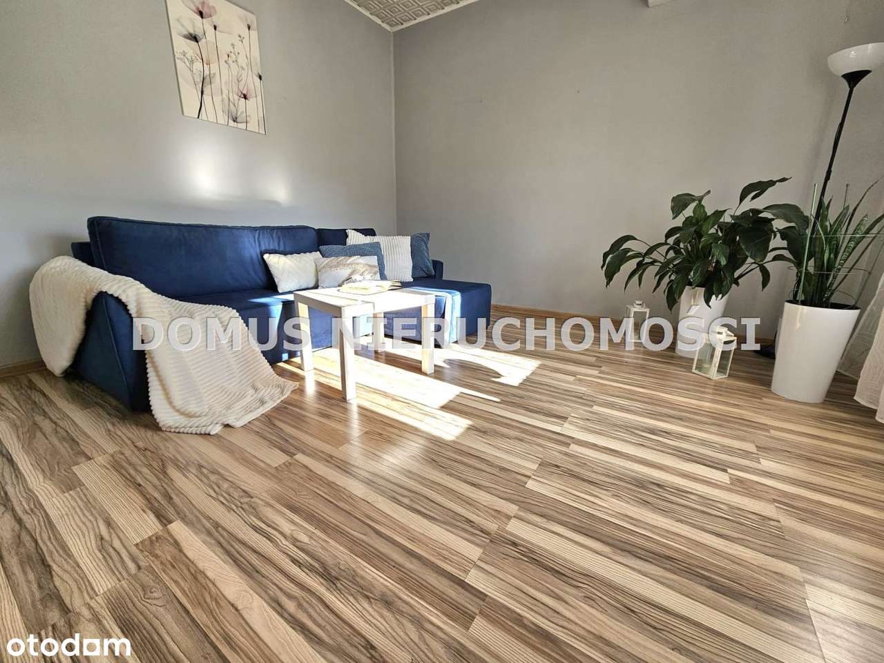 Klimatyczne siedlisko - Pełny obrazek: 5/17