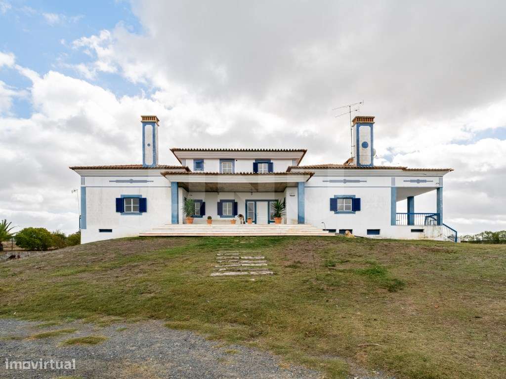 Quinta com 4,8 hectares e casa T9 em Vila Nova da Baronia-12
