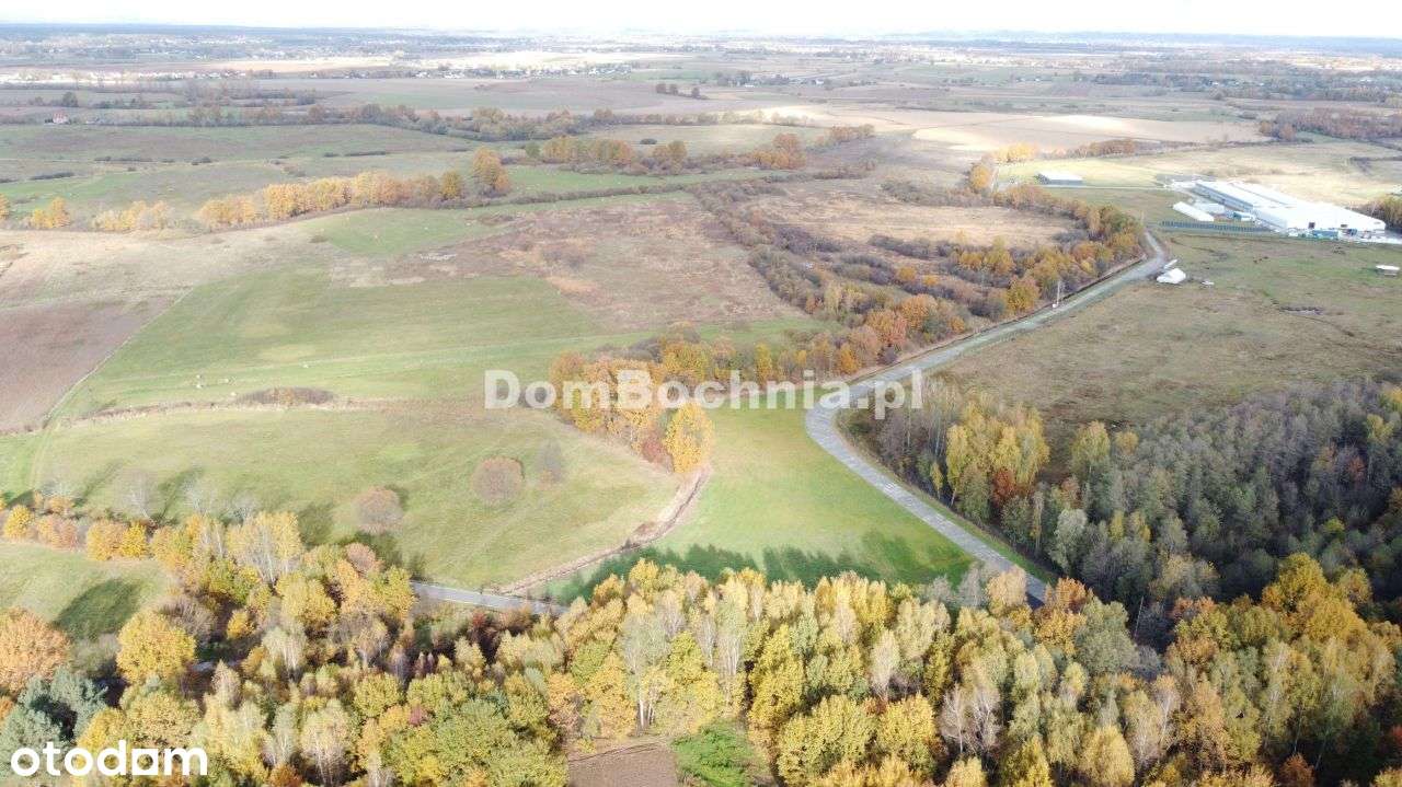 38ar budowlana przy drodze Borek Rzezawa-13