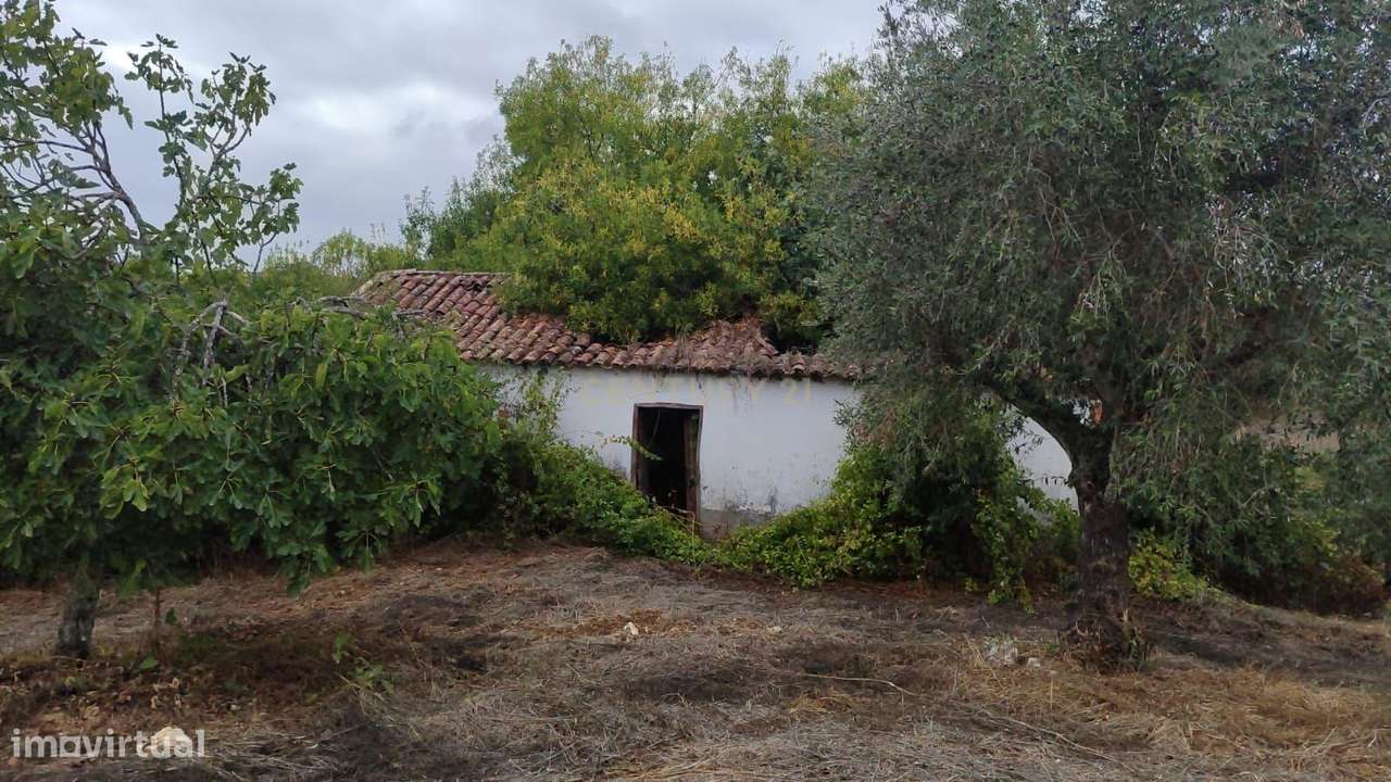 Casa de Campo em São Vicente do Paul, Santarém - Oportunidade Única-23