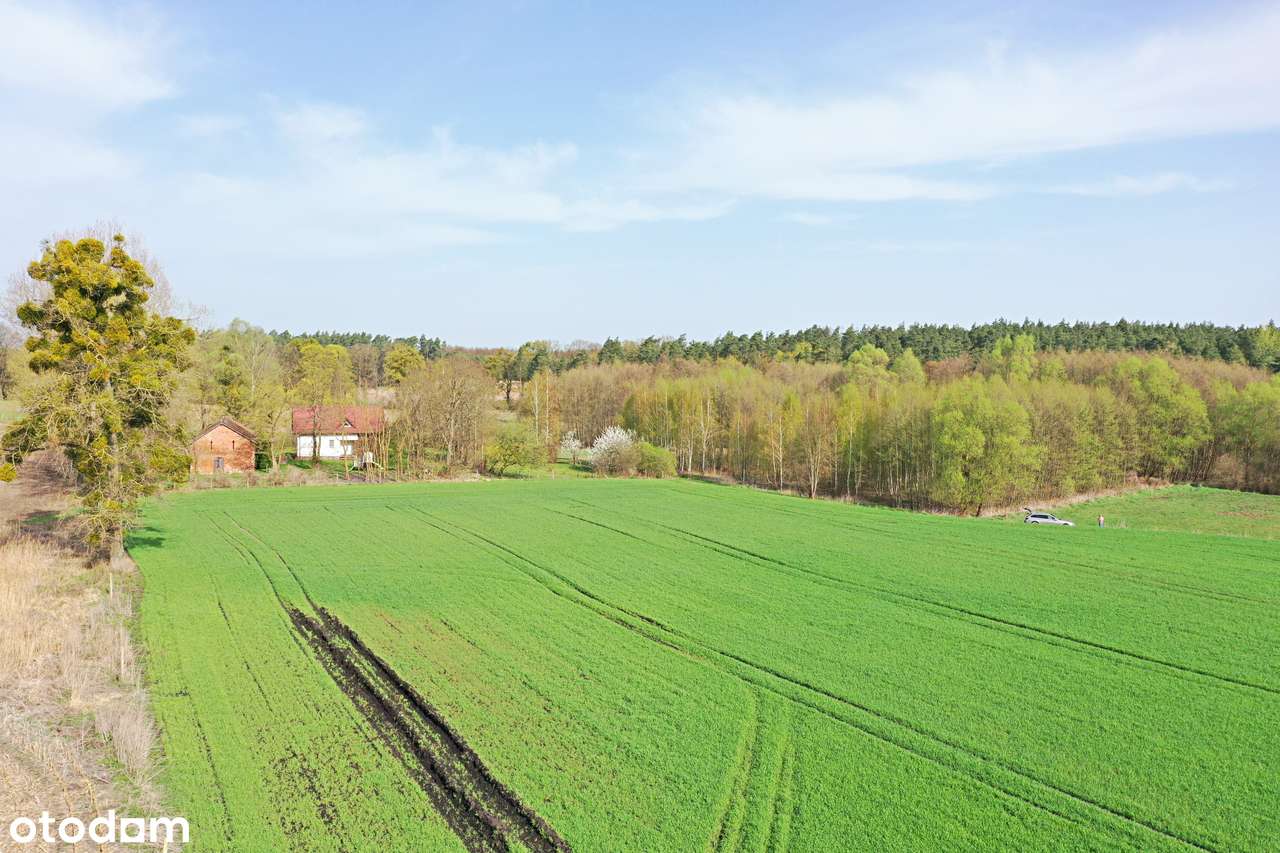 Natura, cisza, kameralność, śpiew ptaków-6