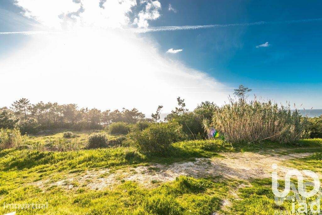 Terreno Agrícola em Nazaré - Grande imagem: 4/7