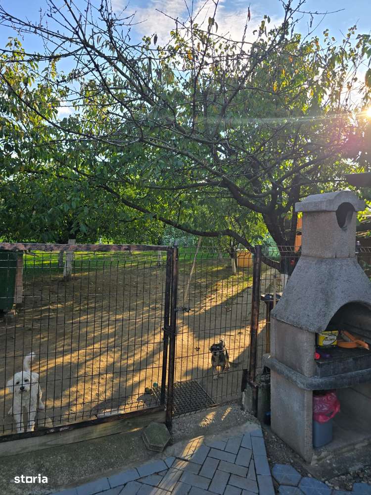 Casă în Cărășeu-16