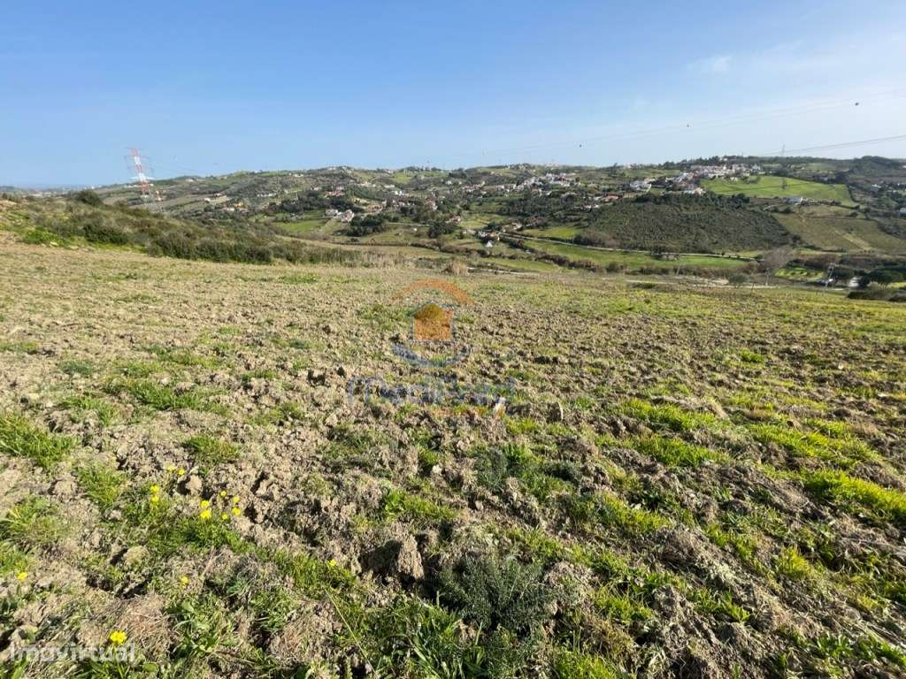 Lote de Terreno - Santo Estevão - Grande imagem: 5/11