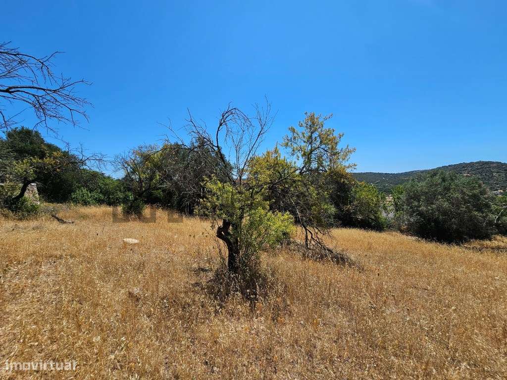Bonito terreno com ruína em zona calma-12
