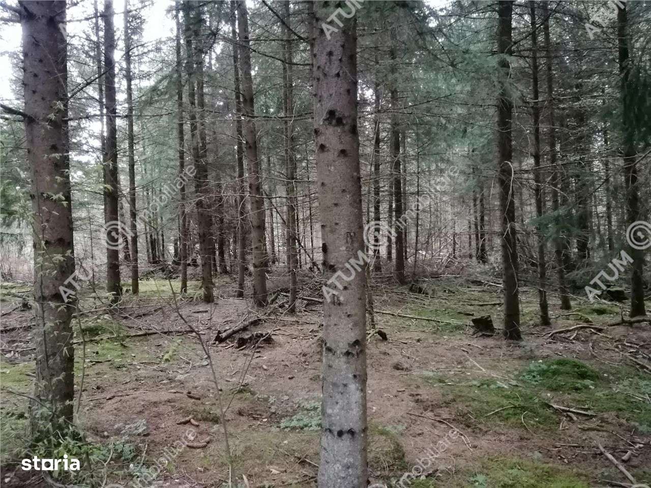 Teren intravilan de vanzare in Avrig zona Valea Avrigului - Imagine principală: 1/3