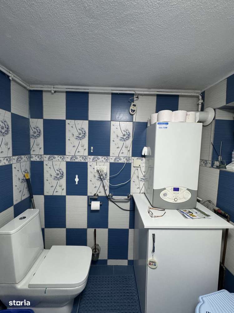 Casa de Vanzare Pecica-9