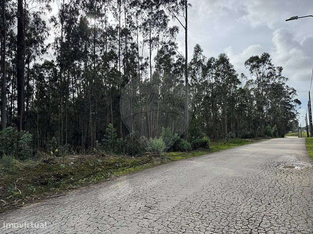 Terreno  para venda - Grande imagem: 2/5