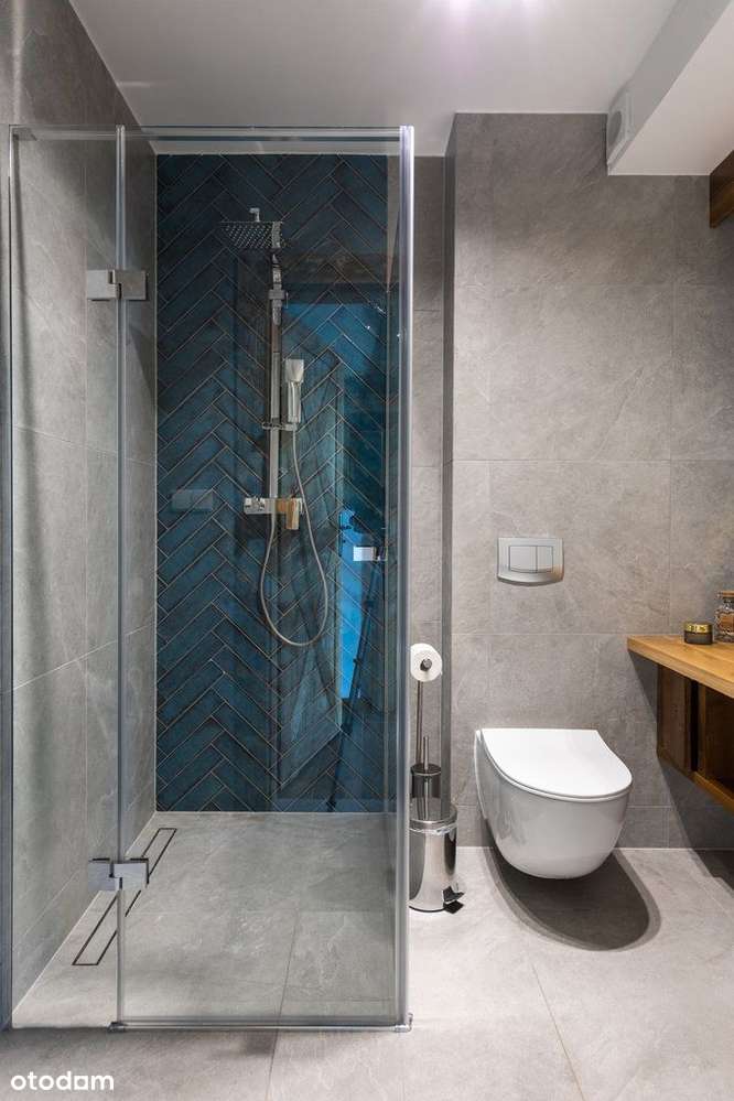 Widok na Tatry, komfort i inwestycja w jednym !-19