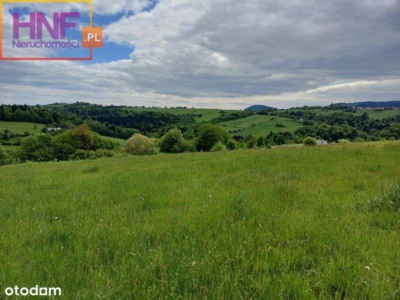 Działki budowlane Mogilno - Pełny obrazek: 5/17