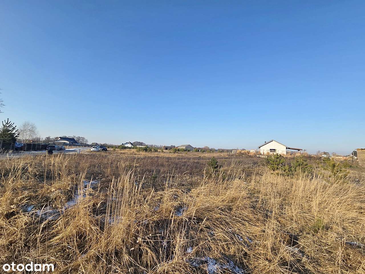 Na nowopowstałym osiedlu w sąsiedztwie lasu-5