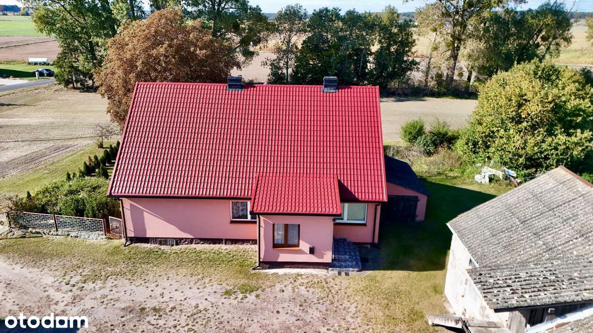 UROKLIWE SIEDLISKO – Korytowo - Pełny obrazek: 2/20