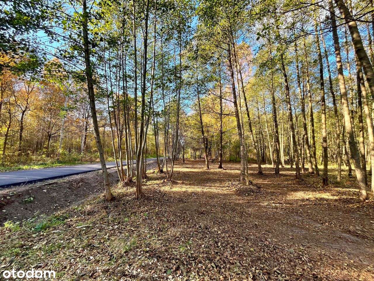 Gertrudów - działka budowlana - gmina Gomunice - Pełny obrazek: 4/14