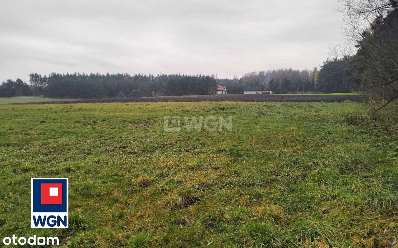 Działka budowlana wśród lasów i jezior.-5