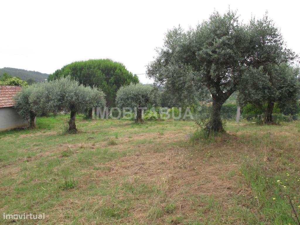 Moradia para recuperar - Grande imagem: 4/25