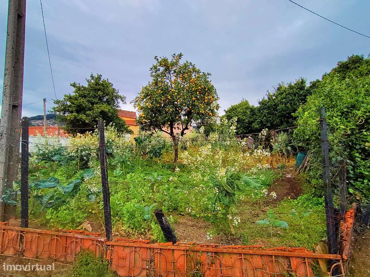 Moradia T3 com terreno em Barrô, Resende. - Grande imagem: 4/10
