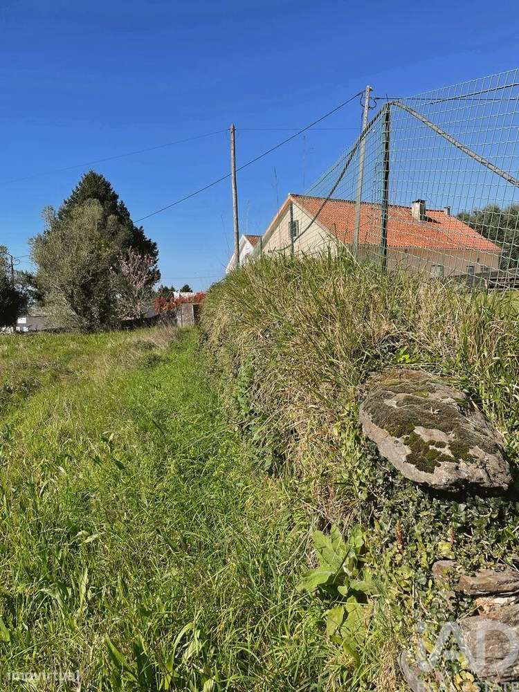 Terreno Agrícola em Montaria - Grande imagem: 4/8