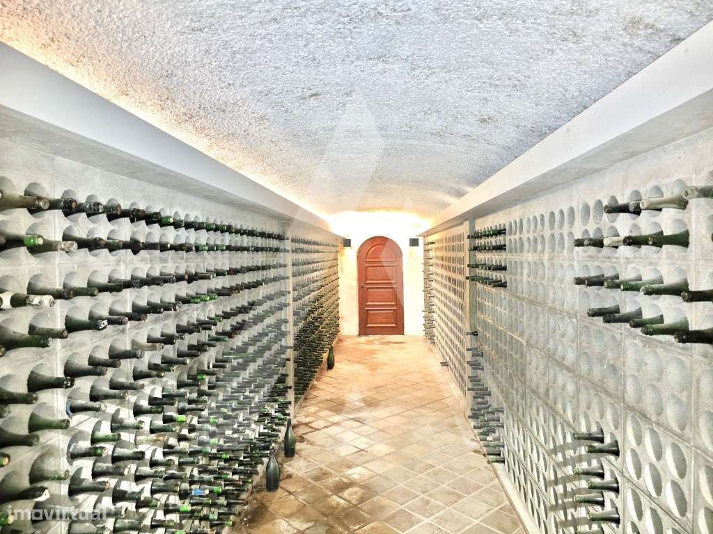 Magnifica Moradia em Águeda-41