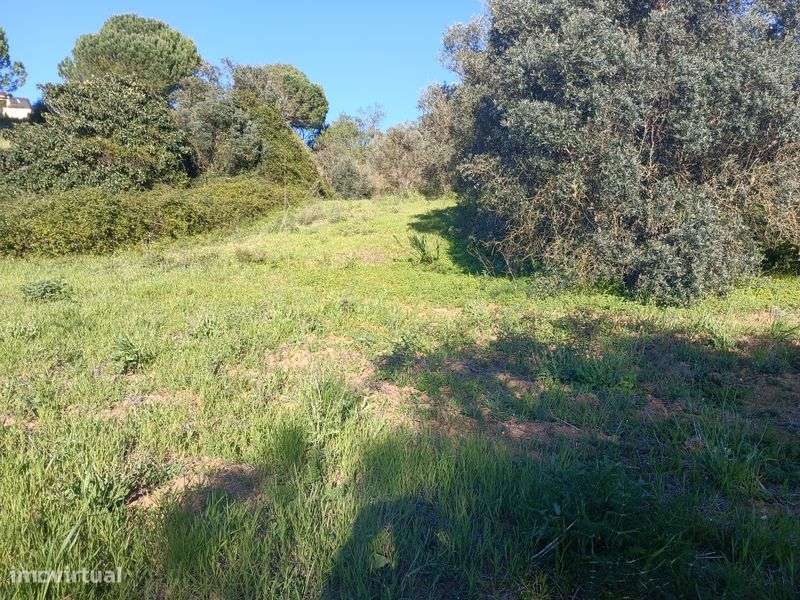 Quintinha , lote de terreno ,  monte , fazenda - Grande imagem: 4/8