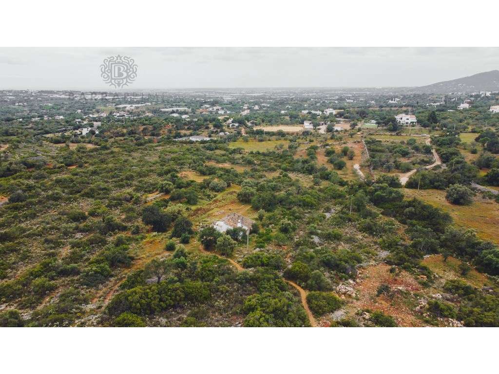 Terreno com casa em Estói - Grande imagem: 5/11