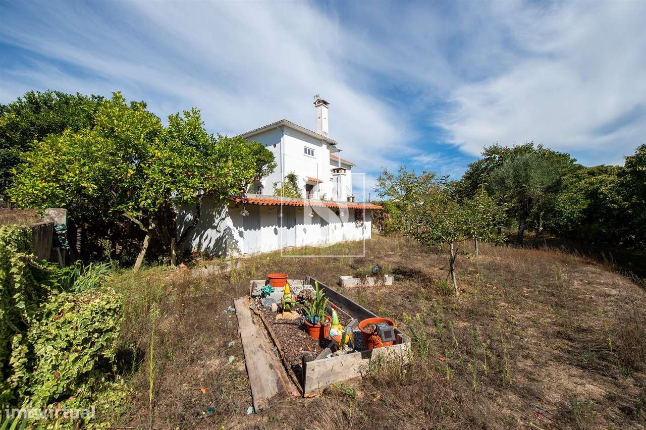 Quinta T6 Venda em Santa Comba Dão e Couto do Mosteiro,Santa Comba Dão-49