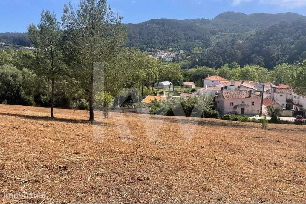 Terreno para construção em Colares - Grande imagem: 2/6
