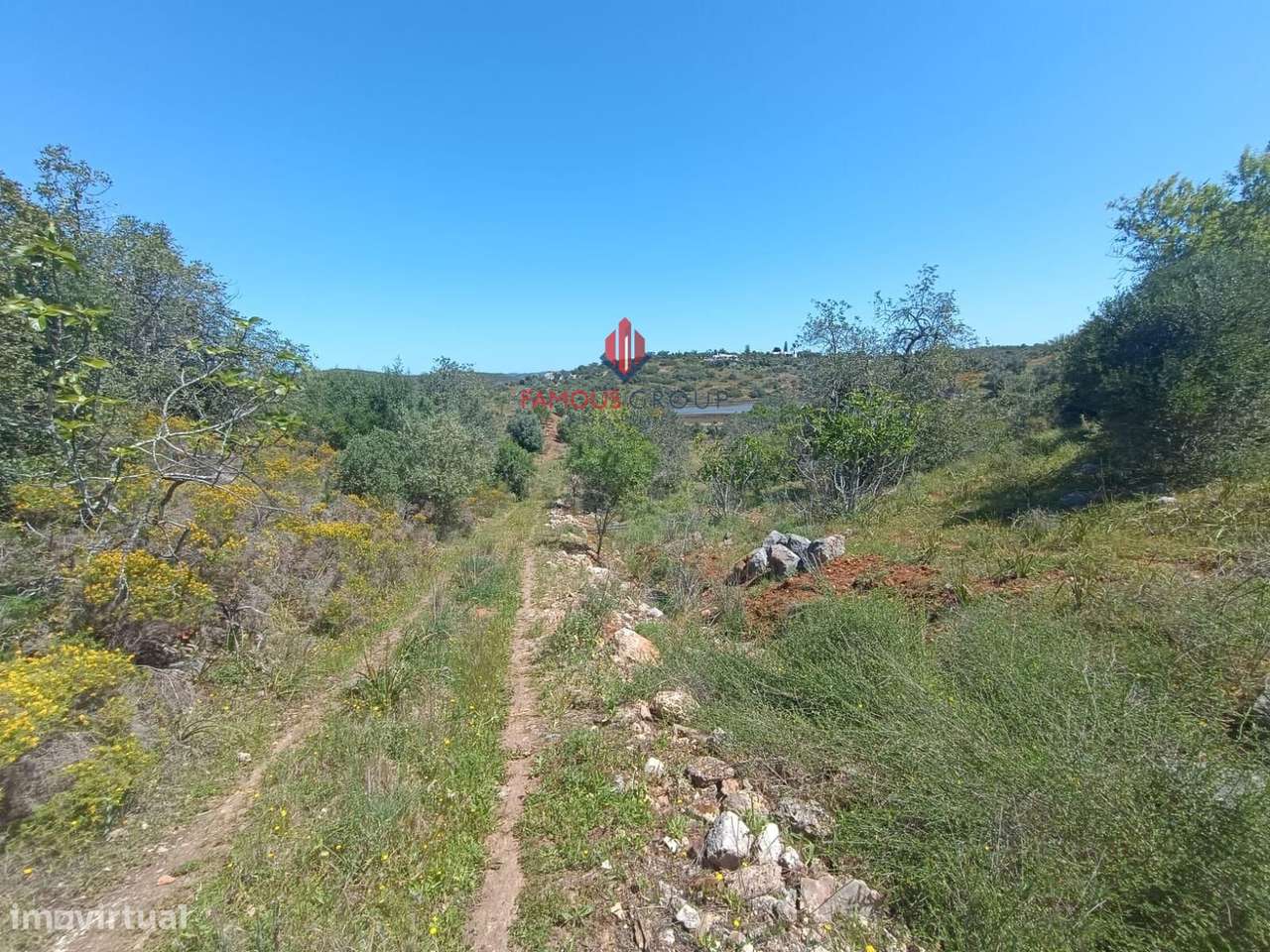 Quinta com 9 Hectares , junto ao rio Arade excelente investimento-5