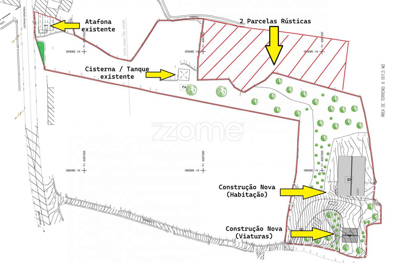 Terreno Misto com Vista Mar e Viabilidade de Construção - Ilha do P... - Grande imagem: 4/36