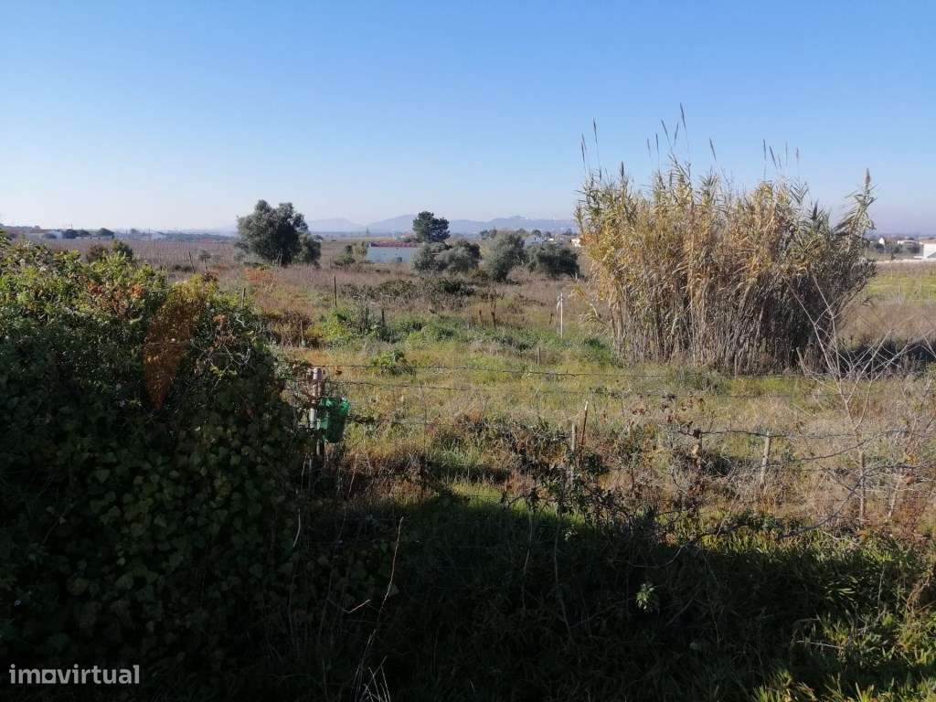 Terreno Rústico, com 15.000 m2, Palmela - Grande imagem: 2/4