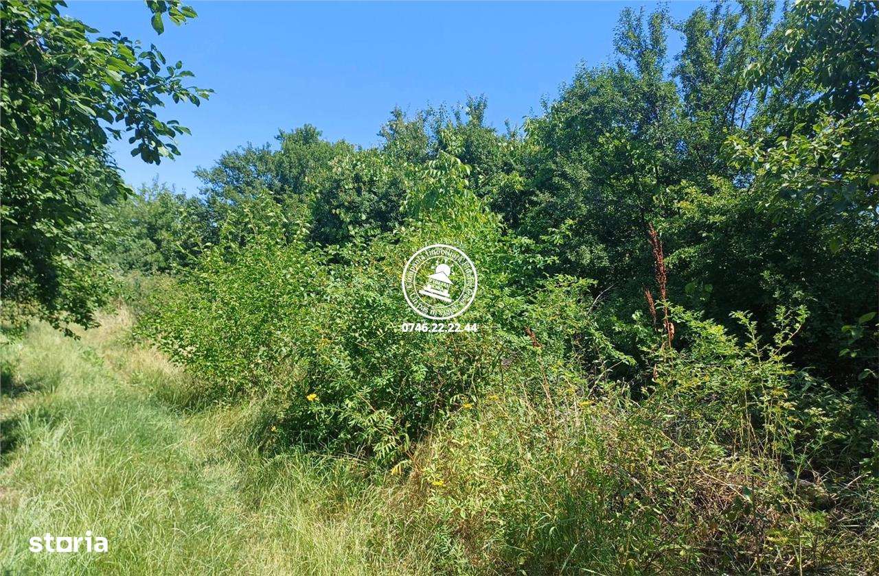 Teren pentru constructii case de vanzare Iasi, Copou - Imagine principală: 4/5