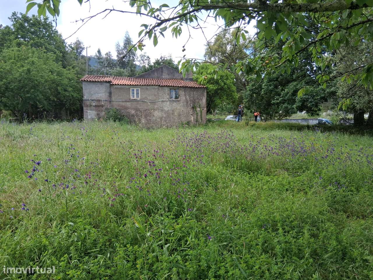 Moradia para Restaurar com Terreno Urbano – Cadaixo, Miranda do Corvo-35