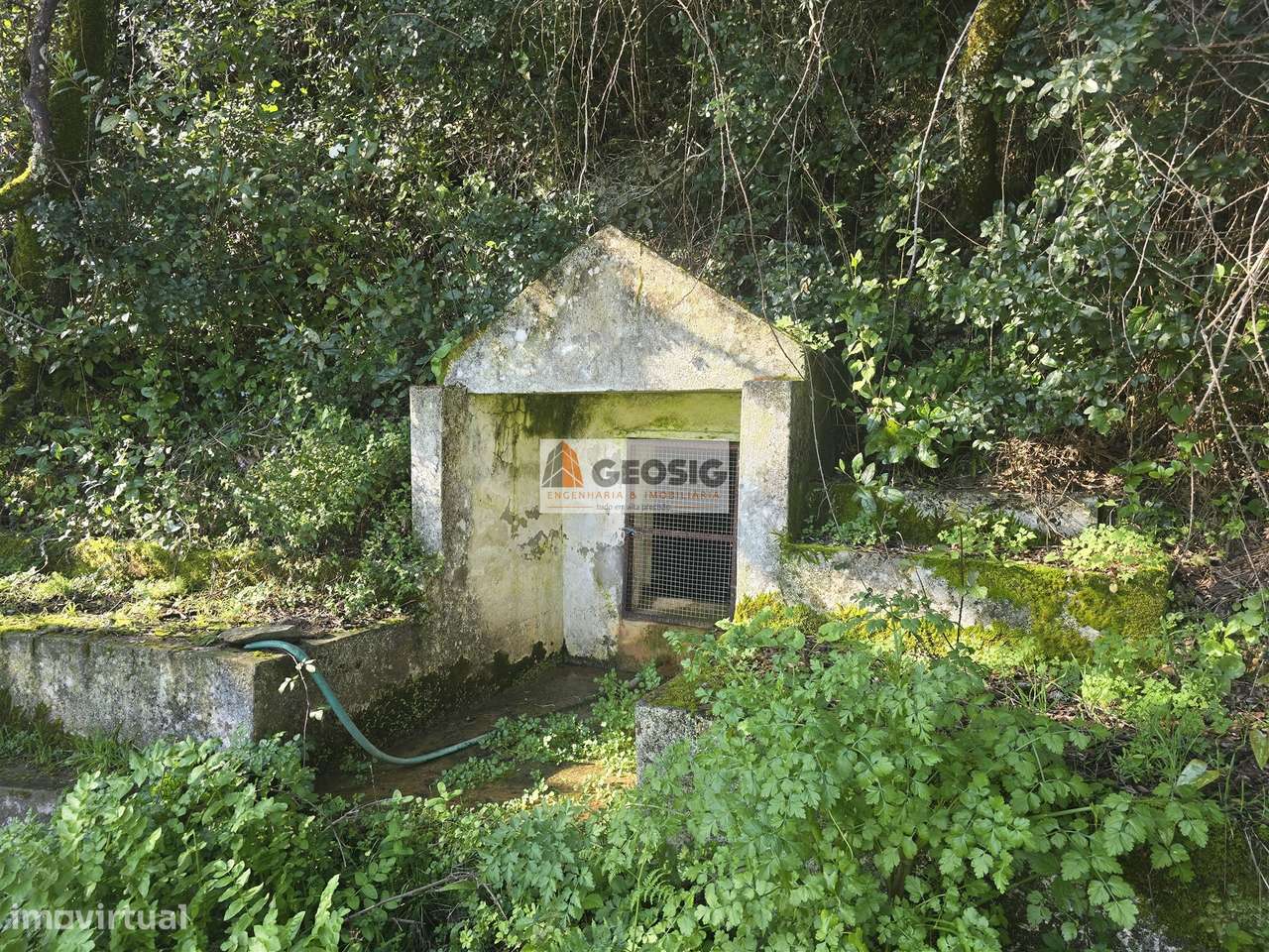 Terreno Rústico  Venda em São Barnabé,Almodôvar-7