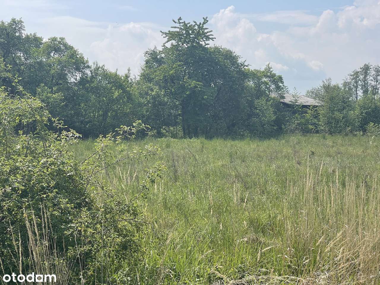 Super Atrakcyjna pod Rezydencję - Pełny obrazek: 4/6