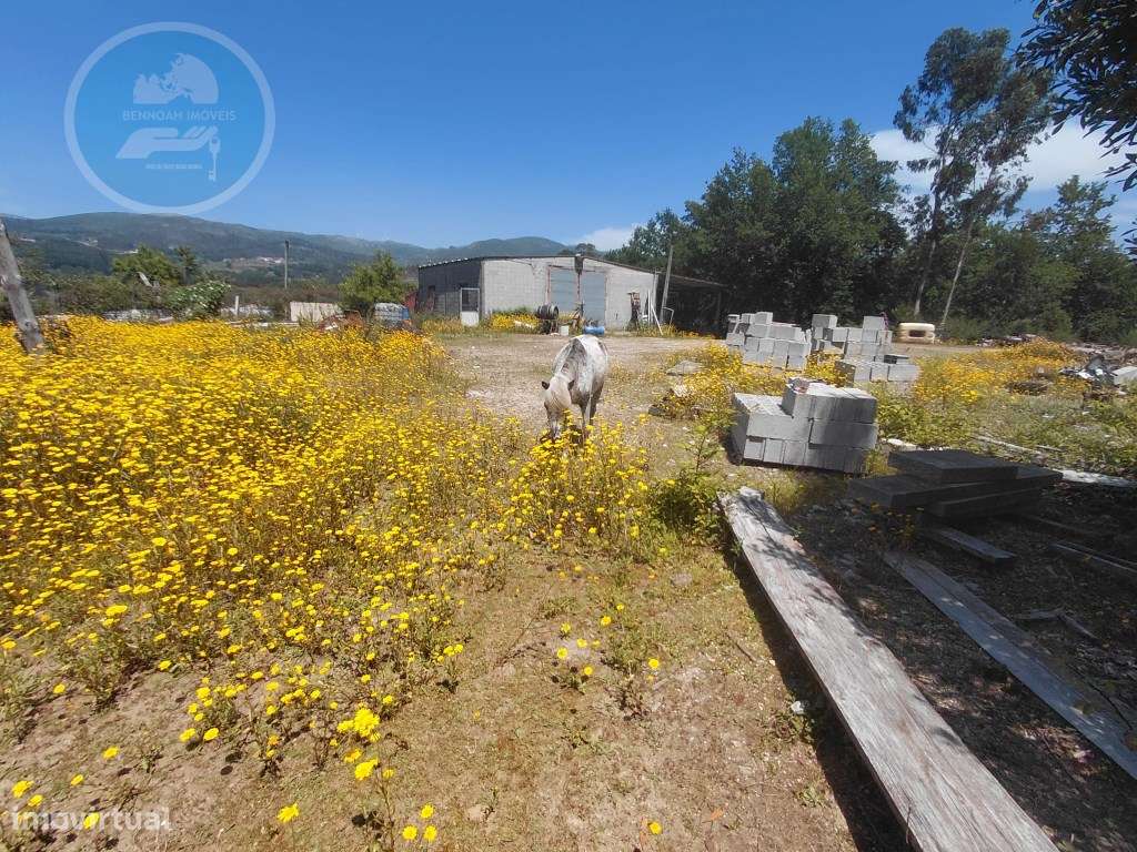 Terreno Construtivo de 8.700 m² com Casa PréFabricada T2, Nascente ...-22